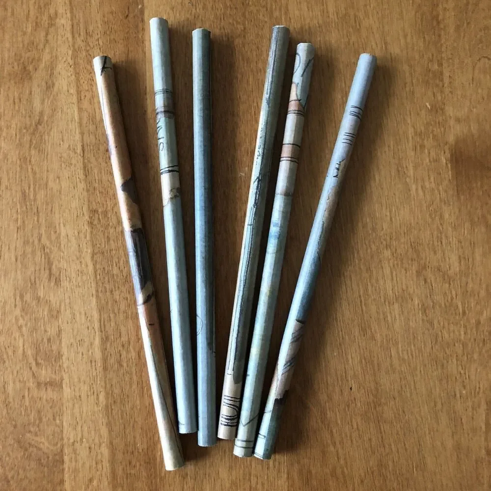 Pier 1 Imports Pencil Set with Case 12 Count NEW